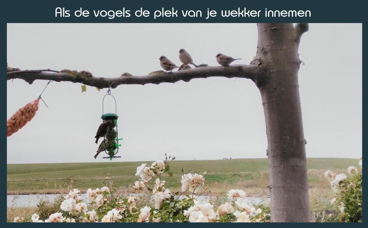 Vakantiewoning Deltahof Ellewoutsdijk Luaran gambar
