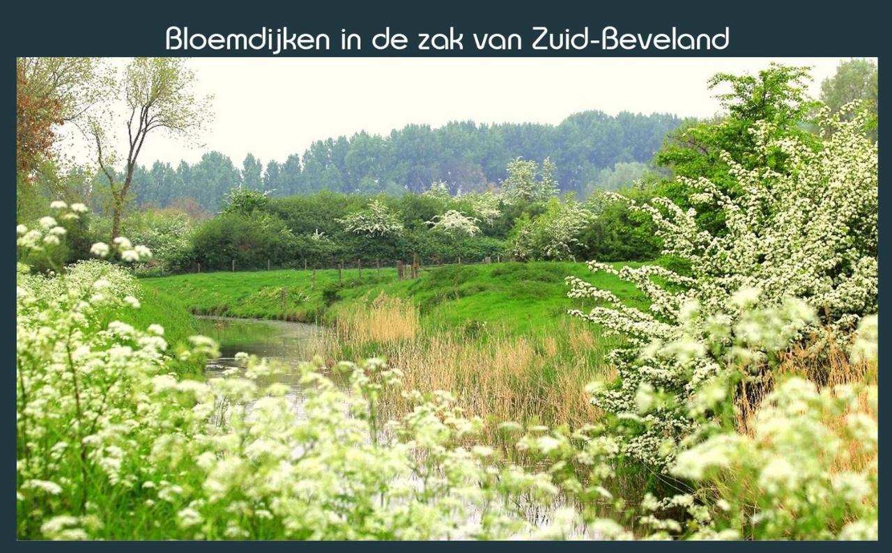 Vakantiewoning Deltahof Ellewoutsdijk Luaran gambar