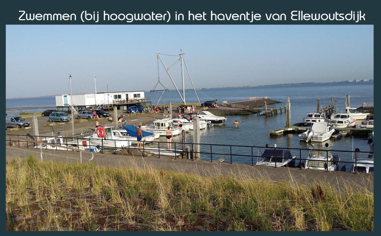 Vakantiewoning Deltahof Ellewoutsdijk Luaran gambar