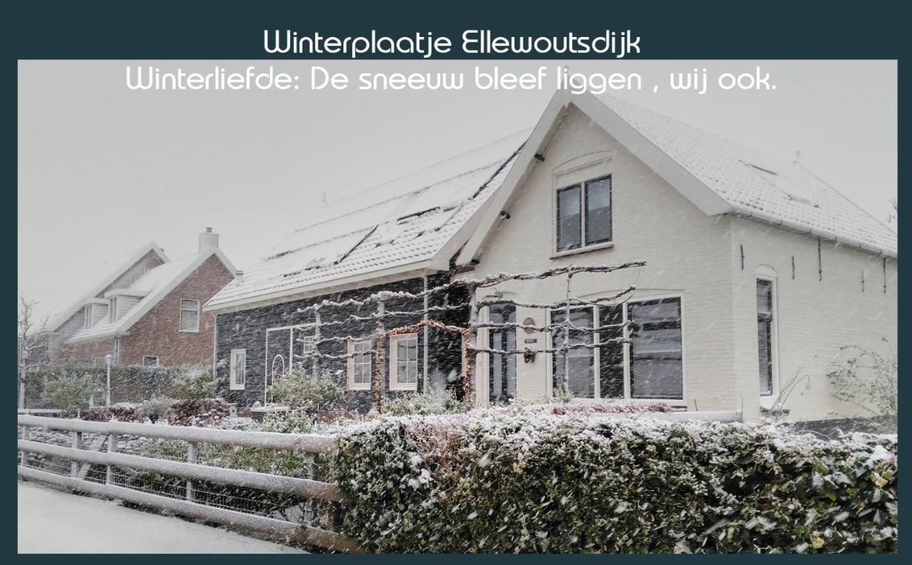 Vakantiewoning Deltahof Ellewoutsdijk Luaran gambar